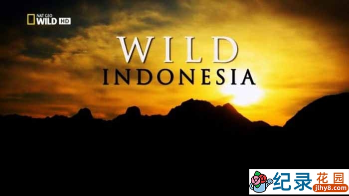 国家地理自然生态纪录片《印尼野生大地 Wild Indonesia》全3集 720P/1080i高清纪录片百度云