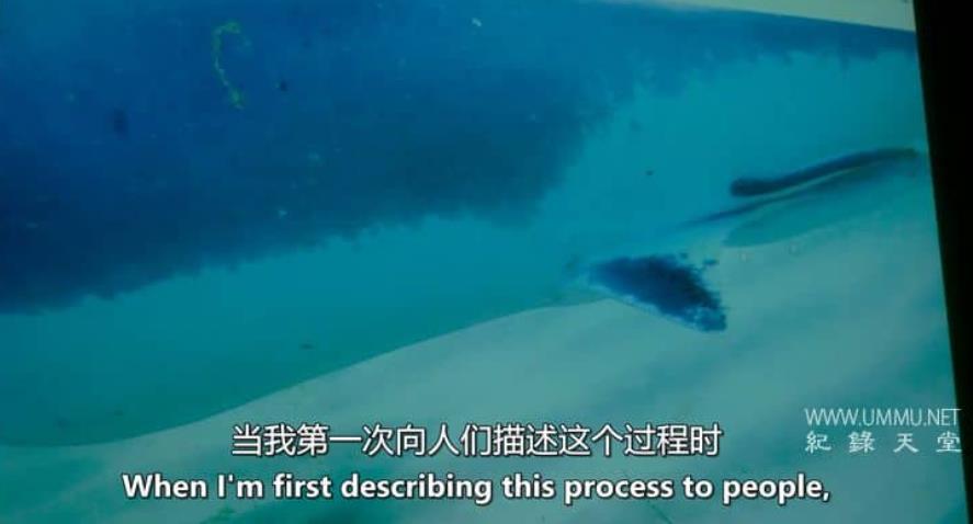 被咬之后 After the Bite