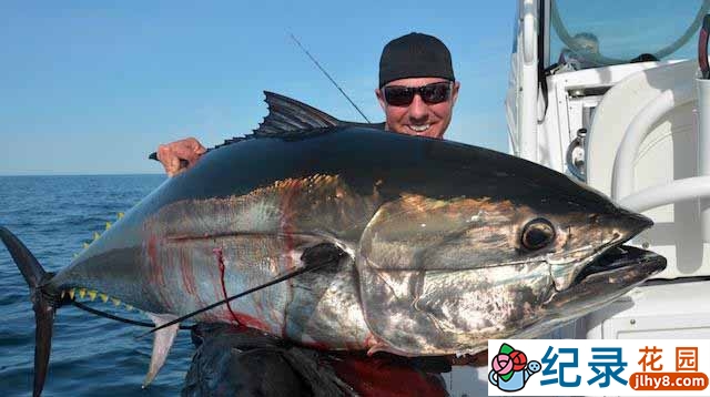 狩猎捕捞纪录片《对决黑鲔鱼 Catching Monsters》全5集 标清纪录片百度云下载