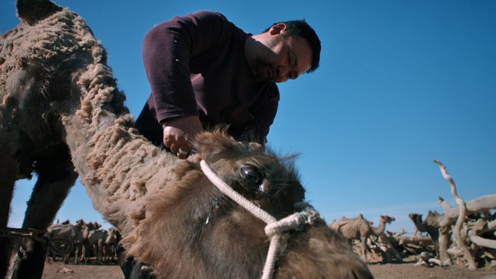 绿色崛起的中国 Green China Rising