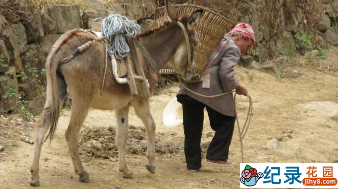 探索频道宇宙探索纪录片《NASA秘密档案 NASA’s Unexplained Files》第2季全8集中字 纪录片解说素材百度云盘下载 1080/MP4/19.7G