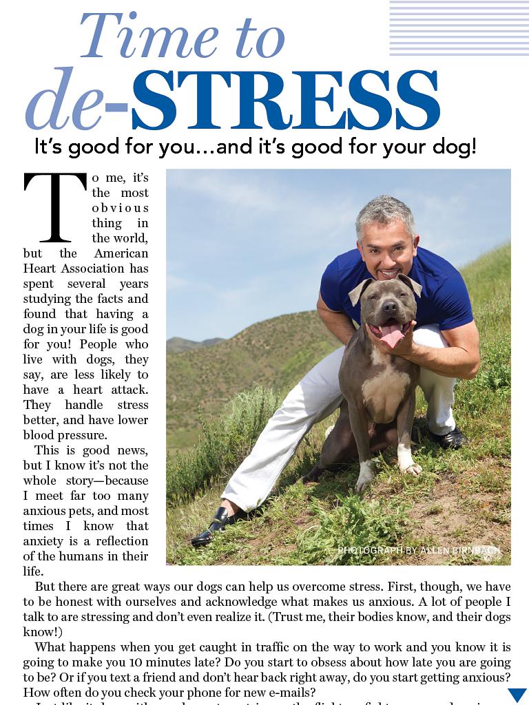 狗语者 第一季 Dog Whisperer with Cesar Millan Season 1