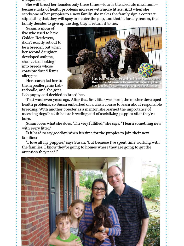 狗语者 第一季 Dog Whisperer with Cesar Millan Season 1