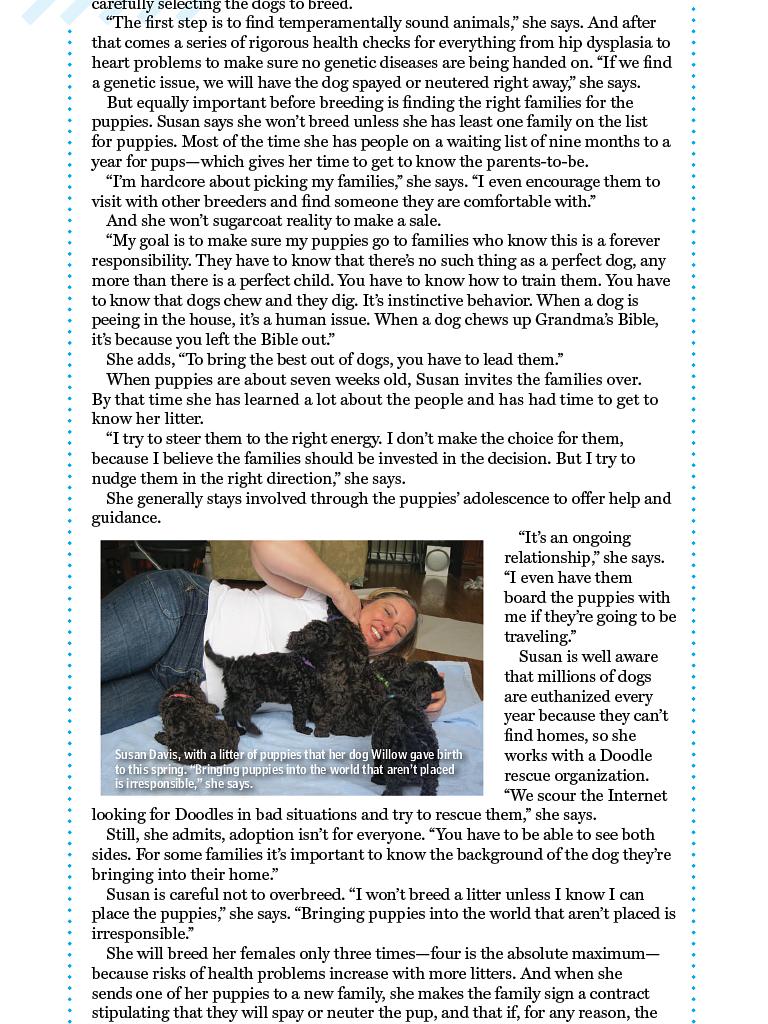 狗语者 第一季 Dog Whisperer with Cesar Millan Season 1