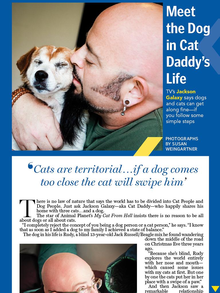 狗语者 第一季 Dog Whisperer with Cesar Millan Season 1