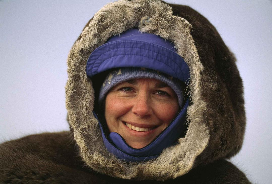 北极故事 Arctic Tale