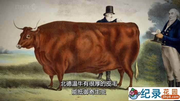 BBC动物驯养纪录片《家禽家畜的私生活 The Private Life Of…》全3集 720P/1080i高清纪录片百度云下载