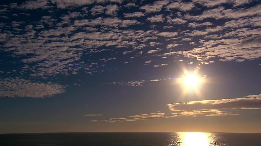 活在当下：安迪·惠特菲尔德的故事 Be Here Now