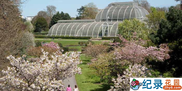 BBC历史人文纪录片《邱园 改变世界的花园 The Garden that Changed the World》全1集 720P/1080i高清纪录片百度云下载