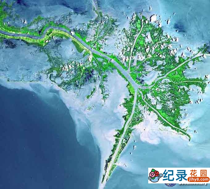 国家地理自然生态纪录片《河流与生命系列：密西西比河 Rivers And Life Mississippi》全1集 720P/1080i高清纪录片百度云