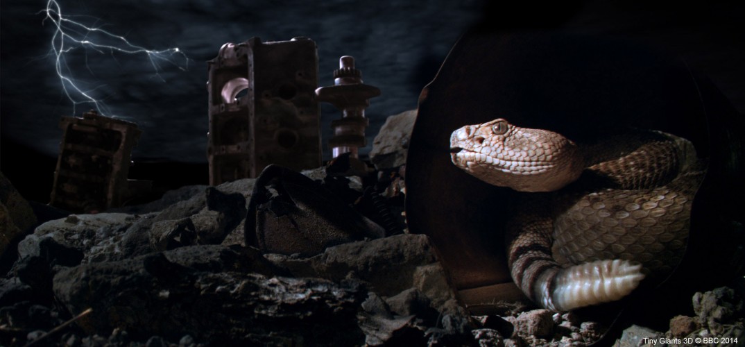 小巨人 3D Tiny Giants 3D