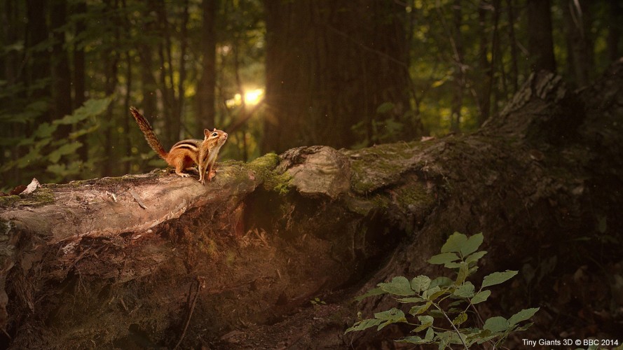 小巨人 3D Tiny Giants 3D