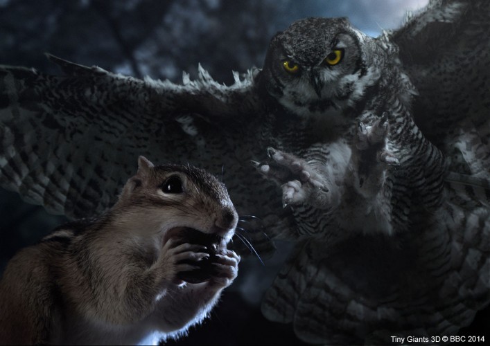 小巨人 3D Tiny Giants 3D