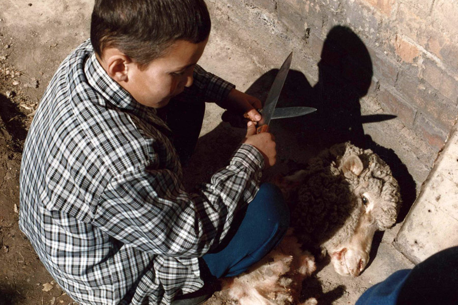 三个忧郁的房间 Melancholian 3 huonetta