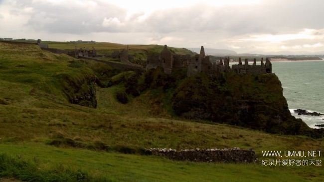 为爱而挖 Digging for Ireland