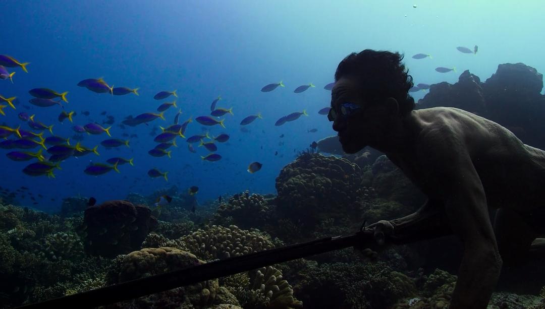 水下人生 Jago：A Life Underwater