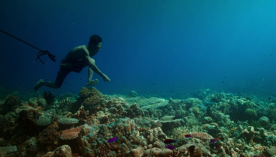 水下人生 Jago：A Life Underwater