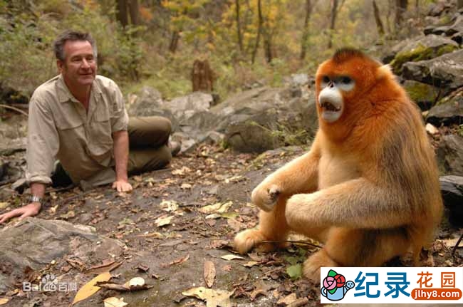 探索频道自然历史纪录片《未发现的中国 Untamed China With Nigel Marven》全6集 720P/1080i高清纪录片百度云