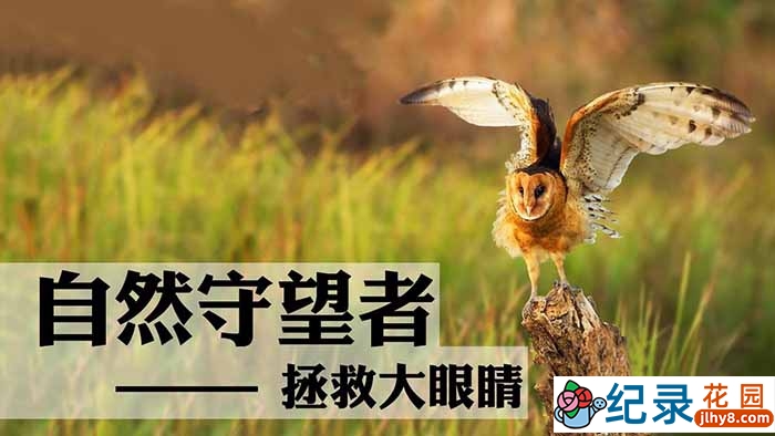 央视濒危物种保护纪录片《自然守望者》第3季 TS/蓝光高清纪录片资源百度云盘下载