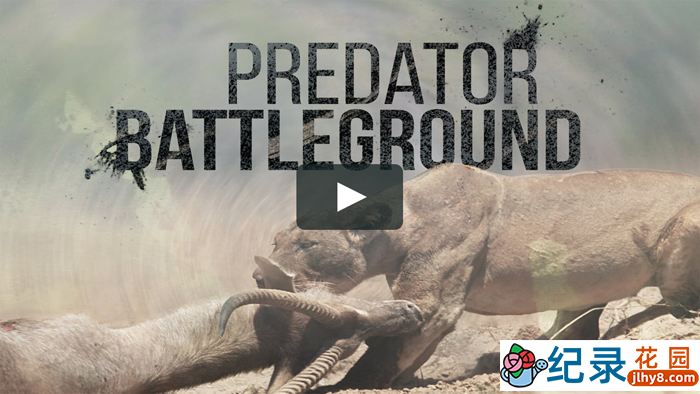 国家地理野生动物纪录片《掠食动物战场 Predator Battleground》全1集 720P/1080i纪录片资源百度云盘下载