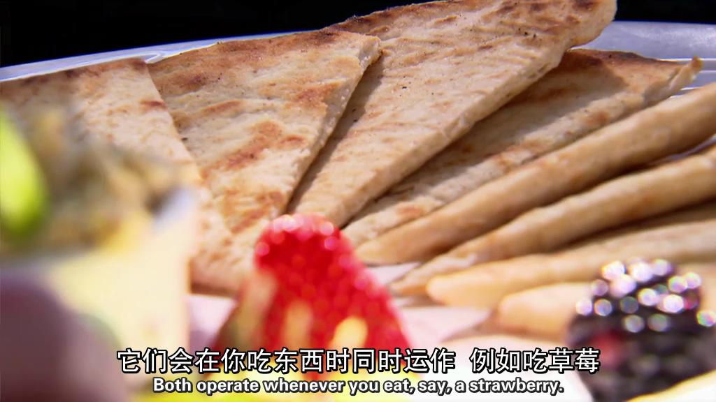 BBC 地平线系列：味觉的真相 BBC Horizon: The Truth About Taste