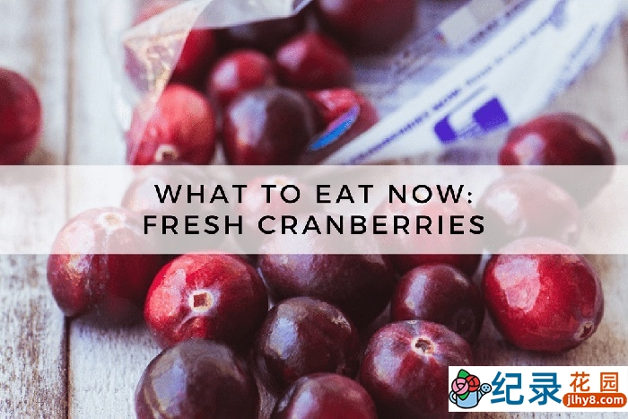 BBC生活美食纪录片《美食探寻记 What To Eat Now》全2季 标清纪录片百度云