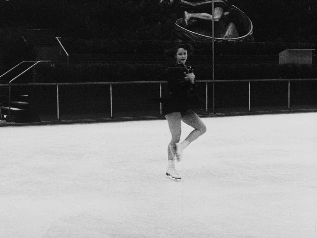 瑞典人在美国 Swedes in America