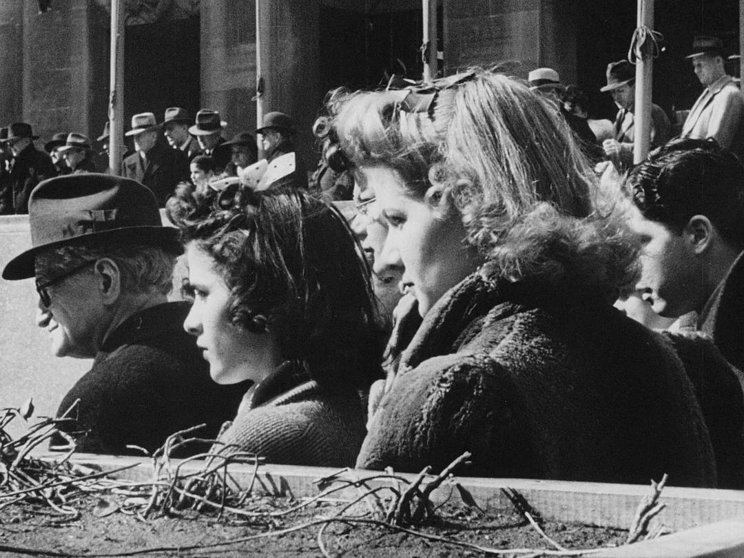 瑞典人在美国 Swedes in America