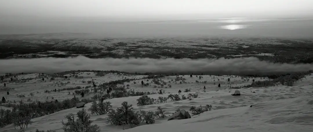 人归何处 Hvor man vender tilbake