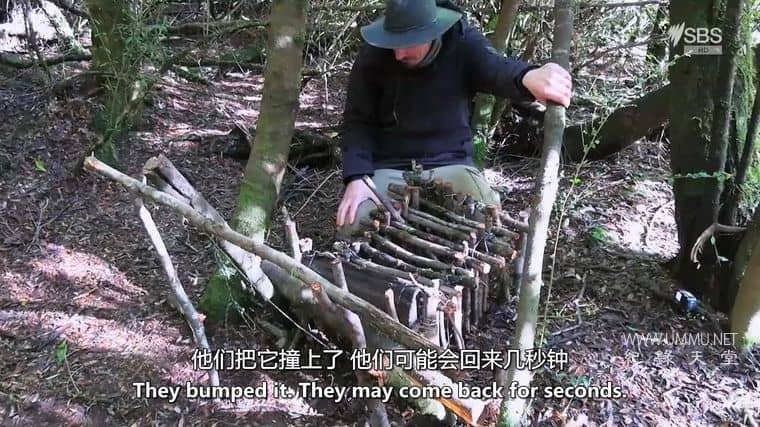 独自求生 澳大利亚 Alone Australia