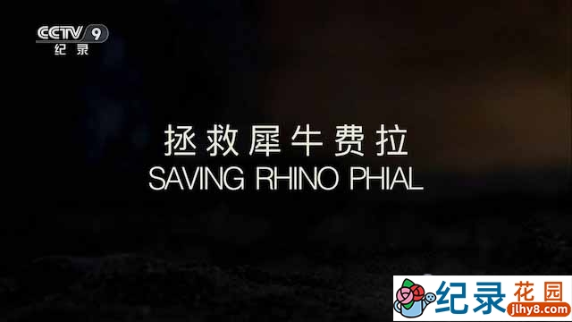 BBC野生动物保护纪录片《拯救犀牛费拉 Saving Rhino Phial》全1集中字 TS/蓝光高清纪录片资源百度云盘下载