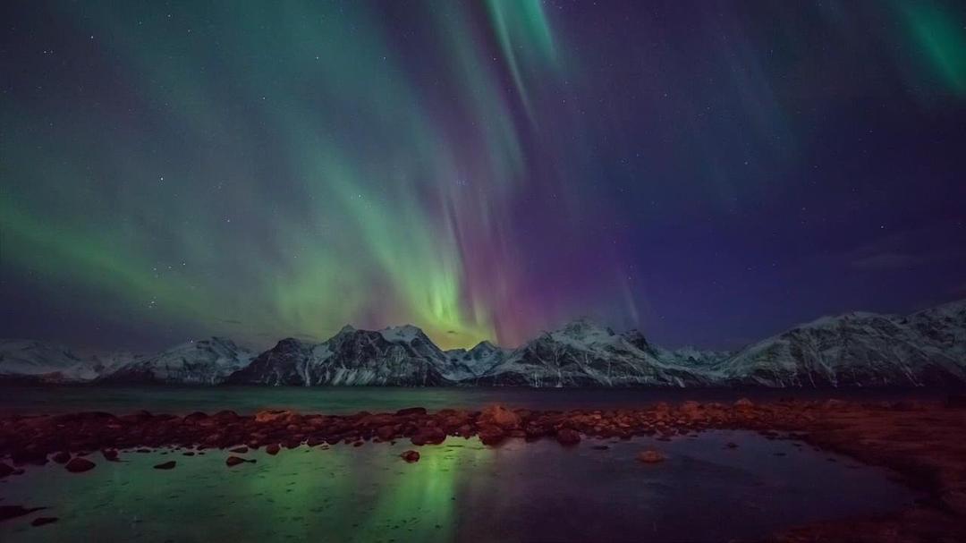 大西洋：地球最狂野的海洋 Atlantic: The Wildest Ocean on Earth