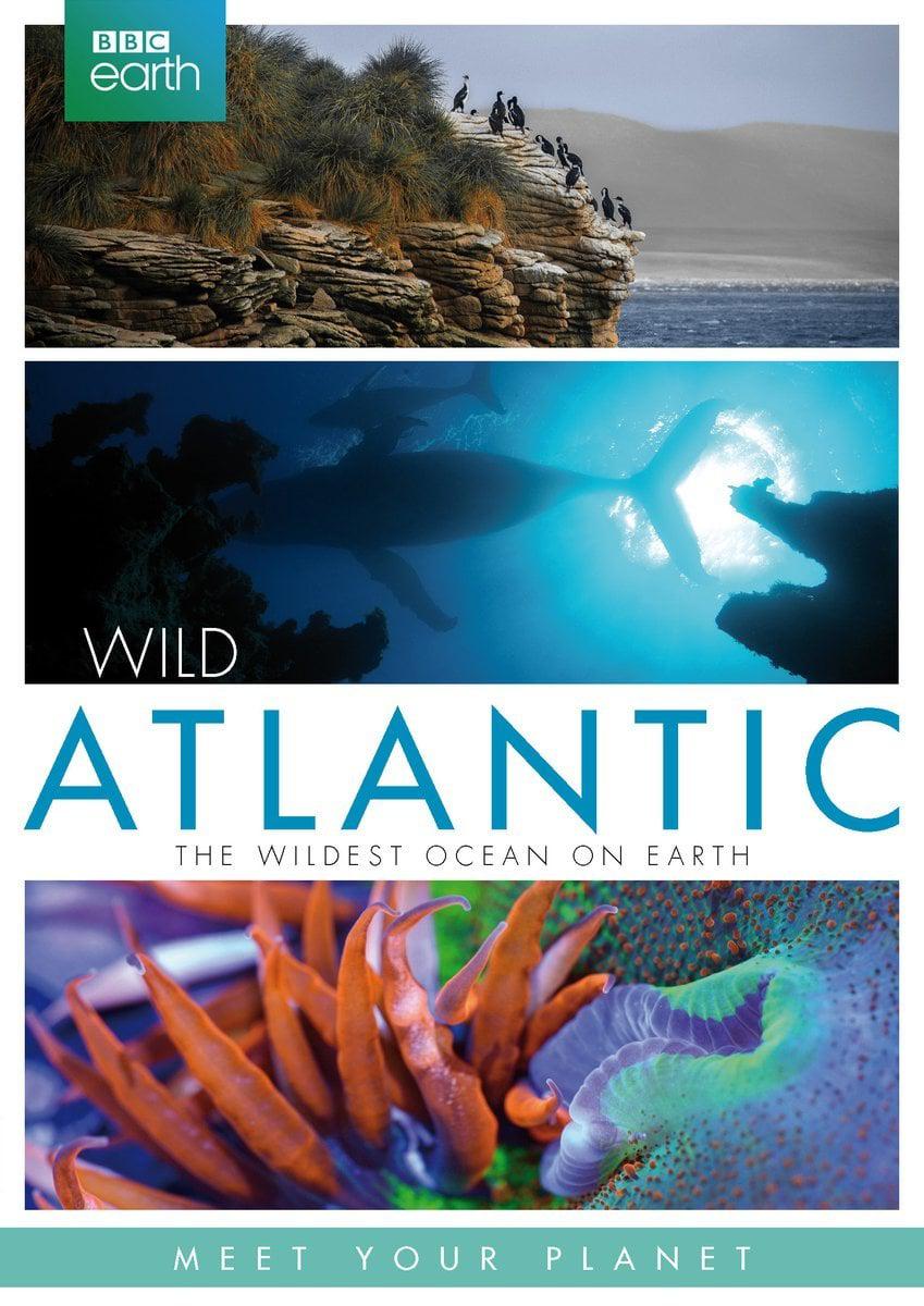 大西洋：地球最狂野的海洋 Atlantic: The Wildest Ocean on Earth