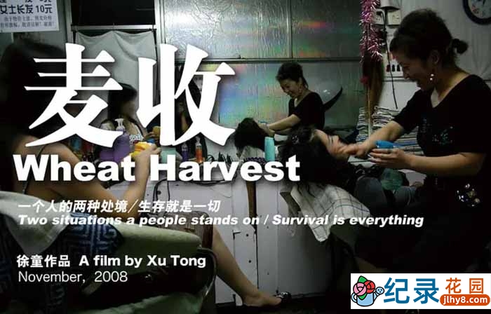 徐童游民三部曲纪录片《麦收 Wheat Harvest》全1集中字 标清纪录片资源百度云盘下载 永久会员专享资源