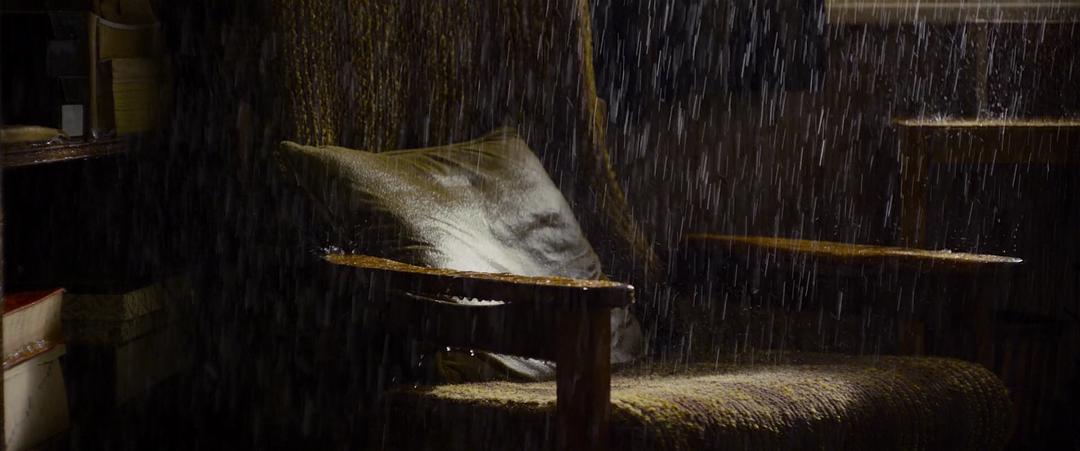 失明笔记 Notes on Blindness