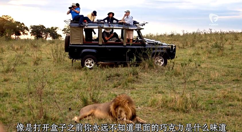 构建《疯狂动物城》 Imagining Zootopia