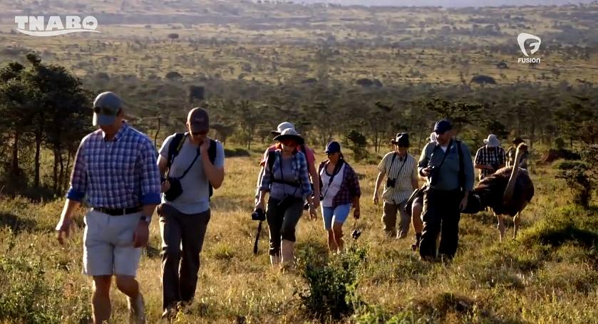 构建《疯狂动物城》 Imagining Zootopia