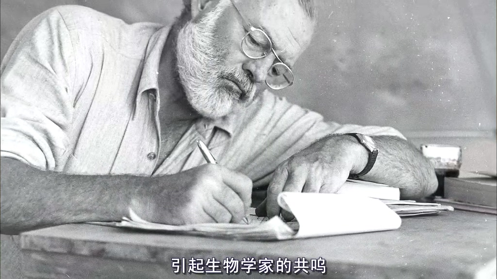 自然：超级鱼类 The Natural World Superfish