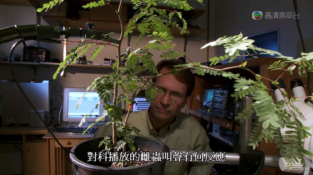 亚马逊异形 Aliens of the Amazon