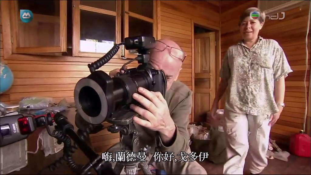 亚马逊异形 Aliens of the Amazon