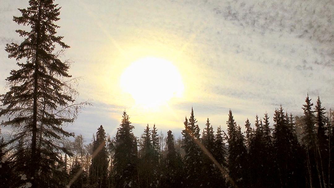 远离尘嚣——摆脱时间束缚的苏珊一家 All the Time In The World