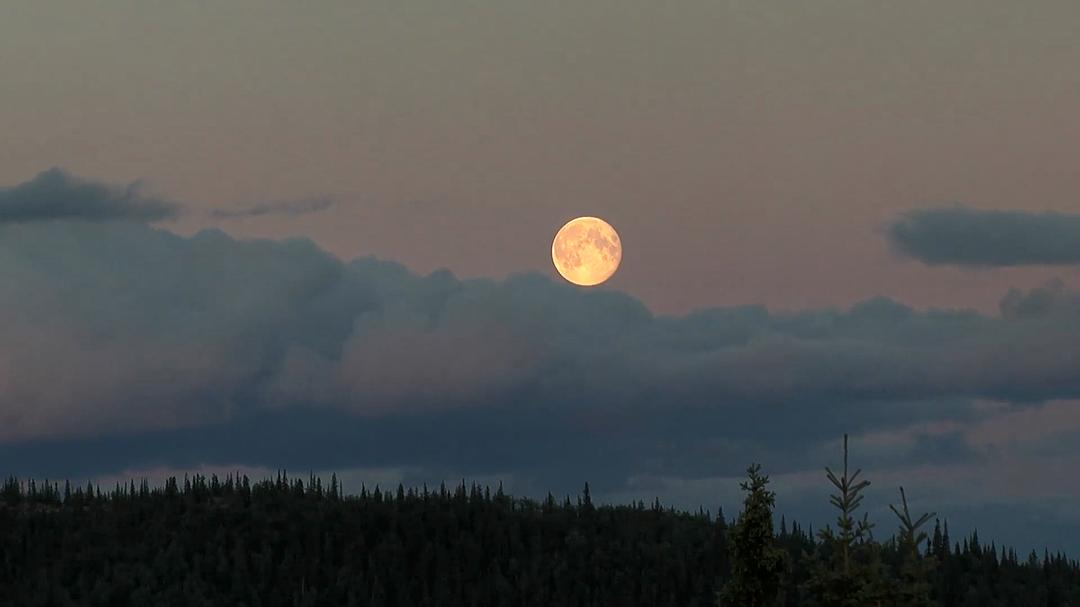 远离尘嚣——摆脱时间束缚的苏珊一家 All the Time In The World