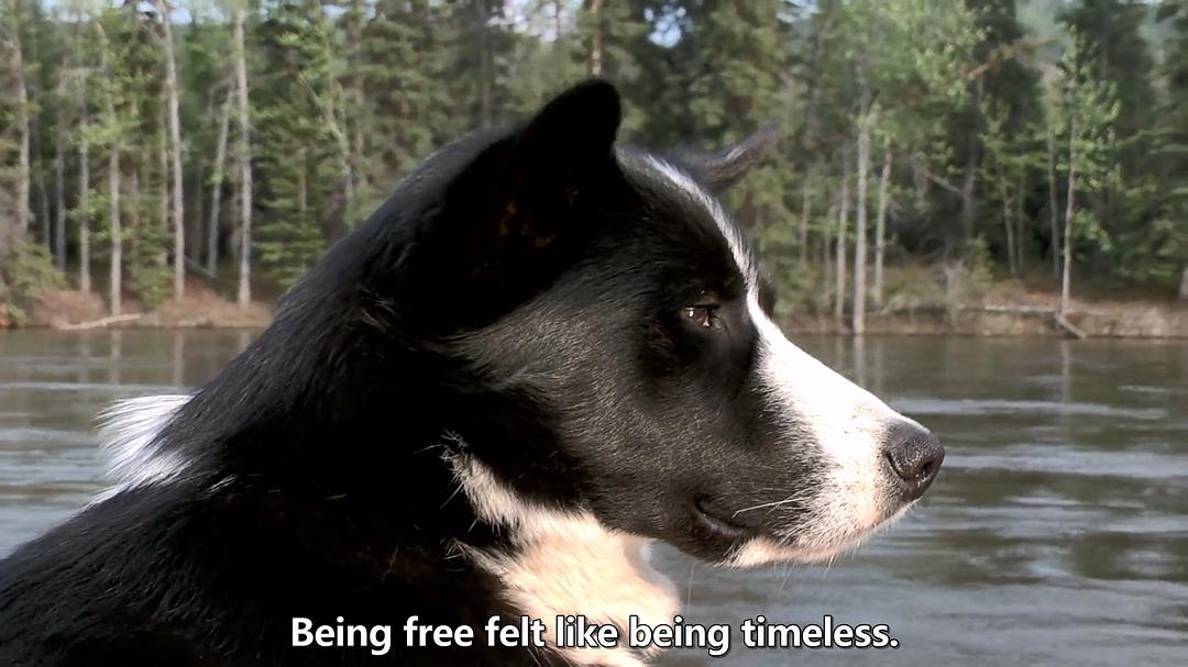 远离尘嚣——摆脱时间束缚的苏珊一家 All the Time In The World