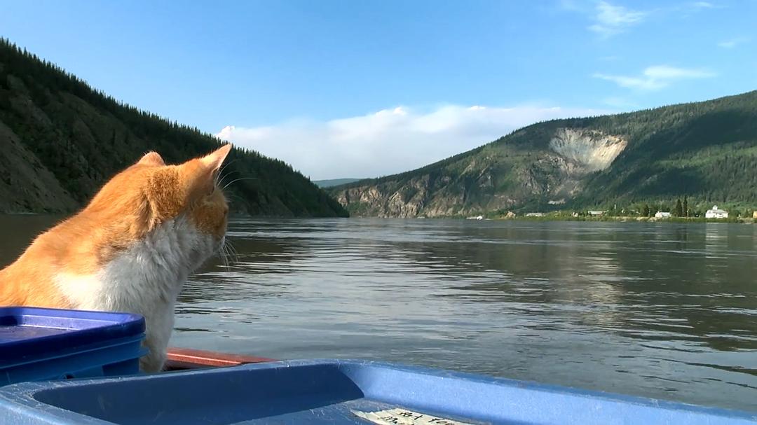 远离尘嚣——摆脱时间束缚的苏珊一家 All the Time In The World