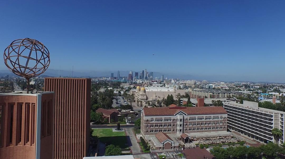 红色药丸 The Red Pill