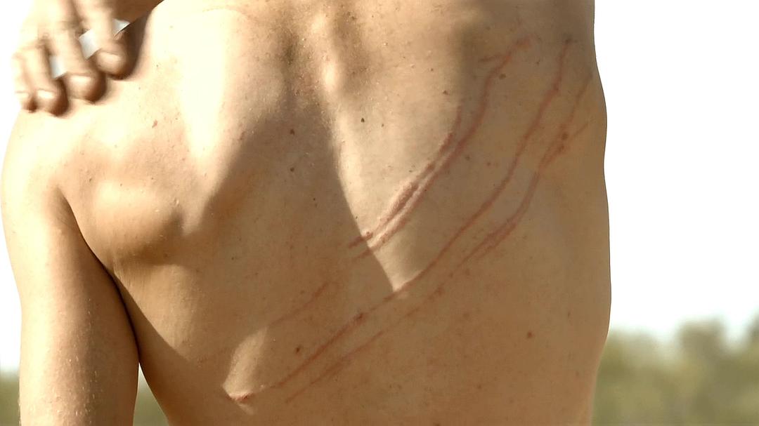 自然世界：袋鼠邓迪 The Natural World: Kangaroo Dundee