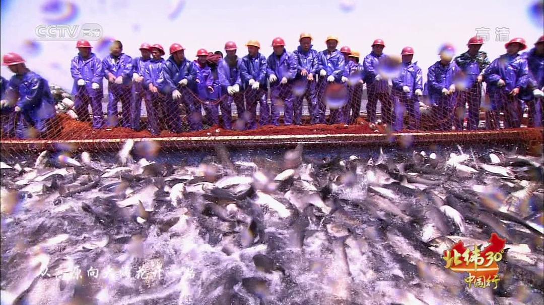 北纬30°·中国行