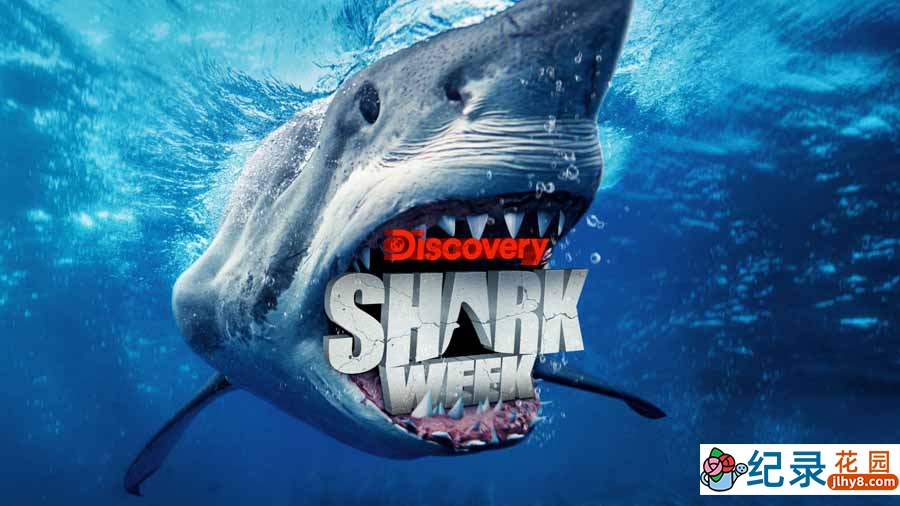 探索频道鲨鱼研究纪录片《鲨鱼周 2009 Shark Week》全1集中字 纪录片解说素材百度云盘下载 1080/MP4/4.71G