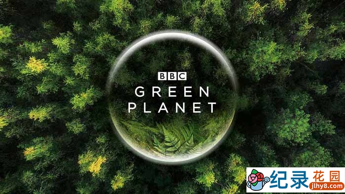 BBC植物研究纪录片《绿色星球 The Green Planet》全5集中字 4K蓝光109G珍藏版纪录片资源百度云盘下载