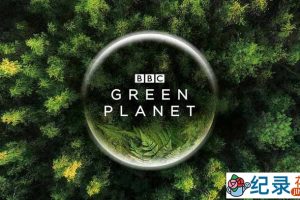 BBC植物研究纪录片《绿色星球 The Green Planet》全5集中字 4K蓝光109G珍藏版纪录片资源百度云盘下载